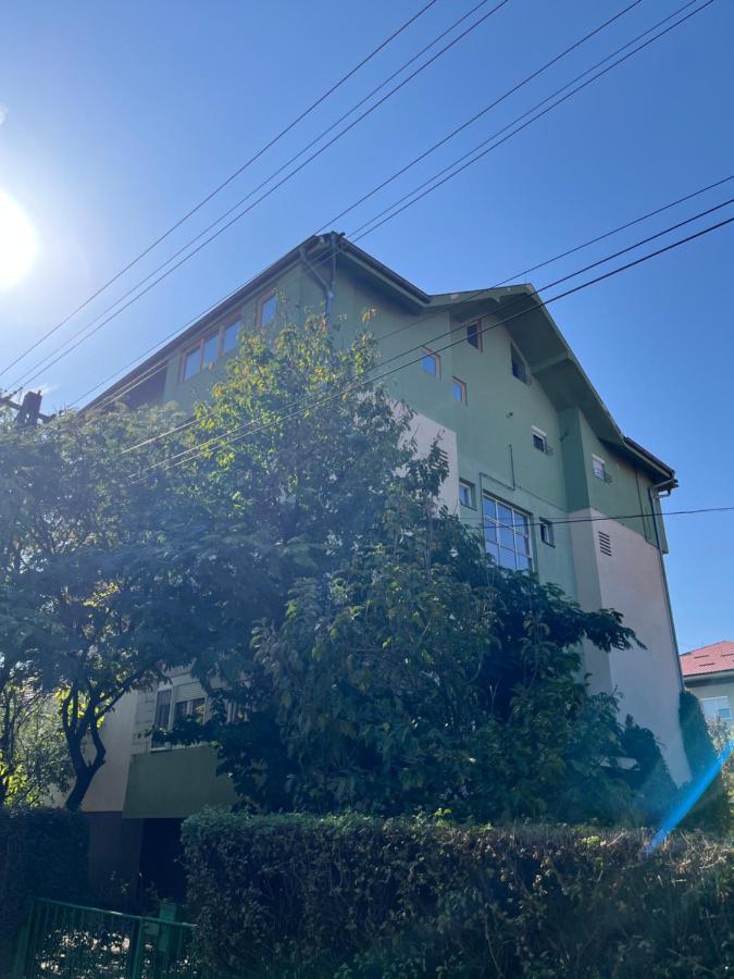 Apartament Bubinga Kruševac Zewnętrze zdjęcie
